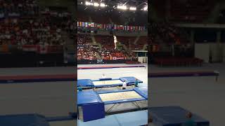 CISAG  Trampoline  CMGA 2017 à Sofia  Brendan Finale [upl. by Niehaus]