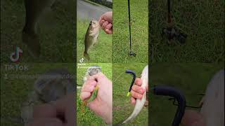 Fishing the cradle 2 grave lures and swampstomperoutdoors rods fishingactivity florida [upl. by Kuth]