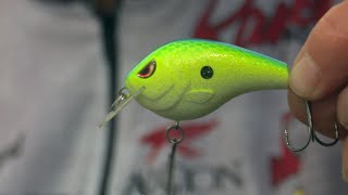 Top 5 Baits for September Bass Fishing Pro Tips  Bass Fishing [upl. by Solana652]