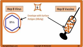 Viral Hepatitis Hepatitis A Hepatitis B Hepatitis C HBsAg HBeAg Vaccine HCV HBV HBsAb [upl. by Suhcnip]