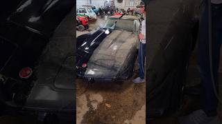 Washing Abandoned Corvette Stingray 🚘💕 DetailDane BarnFind Satisfying Detailing AbandonedCars [upl. by Carmencita]