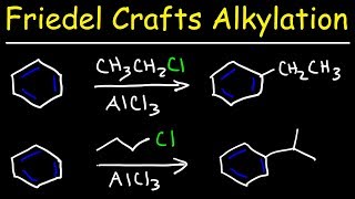 Friedel Crafts Alkylation of Benzene Reaction Mechanism  Tons of Examples [upl. by Orme]