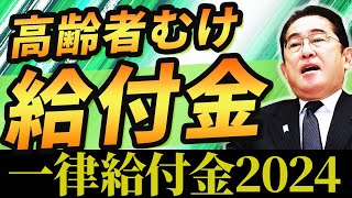 【一律給付金】2024年いつ？高齢者むけ給付金【給付金】給付金10万円｜自治体 [upl. by Ewen]