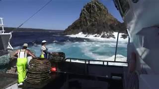 CRAYFISHING ON THE WESTCOAST OF TASMANIA DECKWORK [upl. by Novyad]