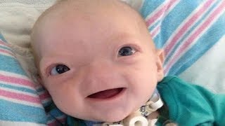 Meet Cutest babies Ever  Cute Babies and Toddlers Compilation [upl. by Ettedanreb]