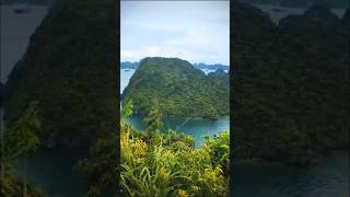 Halong Bay Vietnam Travel Enjoy Vietnam travel halongbay [upl. by Lodovico]