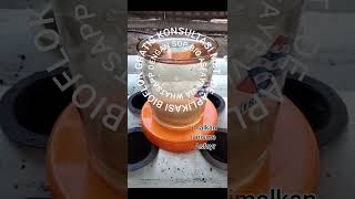 Biofloc Technology Hetero Photo Autotroph BFT HPA by Bio Asfayr for Indoor Fish Farming [upl. by Yemerej]