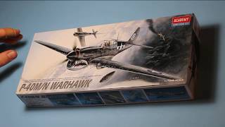 Academy 172 P40 MN Warhawk Review [upl. by Irianat]