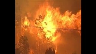 Blue Mountains Wildfire January 1994 [upl. by Baalbeer]