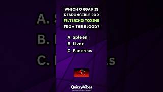 🧠 Quickfire Body Quiz How Well Do You Know Your Organs humanbody anatomy quiztime [upl. by Conyers]