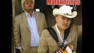 Los Malandrines  La Polvadera [upl. by Mozes]