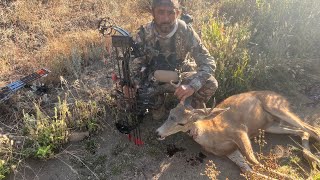 Primer venado 🦌 9824 último día con arco [upl. by Isa]