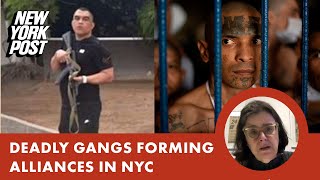 Deadly gangs forming alliances in NYC [upl. by Sug]