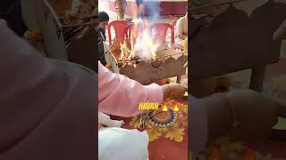 Havan 🔥🔥ytshorts havan durgapuja navratri mahakali bhakti shorts youtubeshorts [upl. by Adnoma]