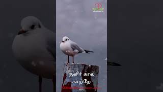 குளிர் கால காற்றே tamilchristiansongs christmas christiansongs Full video link in description [upl. by Nonnahc895]