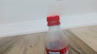 Pazzia botte flip whit coca cola TRACA🤙SEGUIMI for more video ciaooooo [upl. by Lhadnek609]