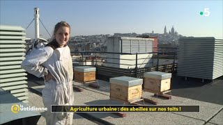 Agriculture urbaine  des abeilles sur nos toits [upl. by Sihon]