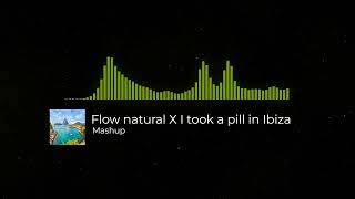 Flow Natural X I Took A Pill In Ibiza Mashup  Beenie Man y Tito el Bambino Mike Posner [upl. by Amadus]