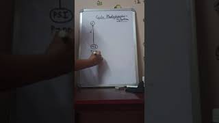 PLUS ONE BOTANYPHOTOSYNTHESISpartl MECHANISM OF PHOTOSYNTHESIS [upl. by Feldman516]