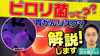 ピロリ菌ってなに？？感染すると胃がんになるってホント？？｜内視鏡専門医が解説 [upl. by Neom]