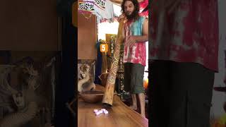 Sound Levitation experiment 🧪 part two didgeridoo science physics [upl. by Newel]