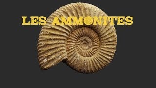 Les Ammonites [upl. by Sudnor821]