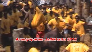 மதுரை அவனியாபுரம் ஜல்லிக்கட்டு 15012012  அவனியாபுரம் கண்ணன் மாடு  வாடிப்பட்டி மாடு jallikattu [upl. by Ethbin334]