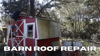 Reparing the barn ROOF after a TREE fell on it [upl. by Thgiwed]