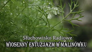 Wiosenny entuzjazm w Malinówku  Marek Ławrynowicz  Słuchowisko Radiowe [upl. by Noillid]