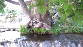 sauble falls video diary  080423 [upl. by Braden213]