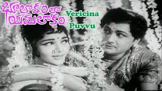 Bhulokamlo Yamalokam Telugu Movie Songs  Vericina Puvvu Song  Kantha Rao  Rajshree [upl. by Tanah]