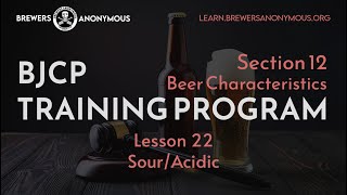 BJCP Training Section 12 Beer Characteristics  Lesson 22  SourAcidic [upl. by Eatnoid915]