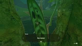 Korok Seed 446 Ash Swamp  The Legend of Zelda Tears of the Kingdom [upl. by Benoit]