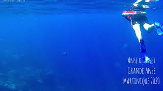 Snorkeling Anse darlet Grande Anse Martinique 2020 [upl. by Sandell]