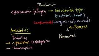 Pseudomonas aeruginosa treatment [upl. by Radley]