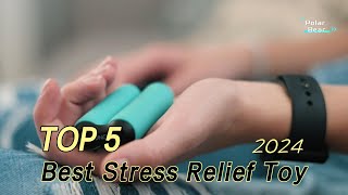 TOP 5 Best Stress Relief Toy 2024 [upl. by Malcom779]