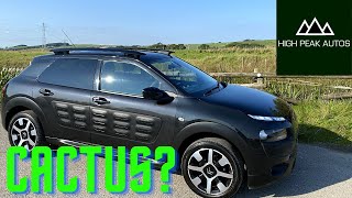 Should You Buy a CITROEN C4 CACTUS Test Drive amp Review [upl. by Aretha167]