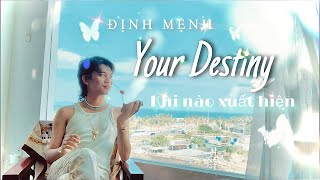 🦋 Định mệnh “YOUR DESTINY” Khi nào xuất hiện ❣️🪽Kitoàn Tarot Channel [upl. by Nesnah532]