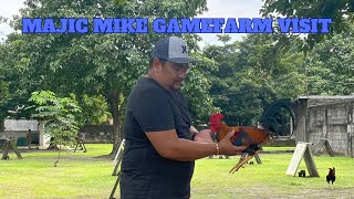 MAJIC MIKE GAMEFARM VISIT [upl. by Lekkim]