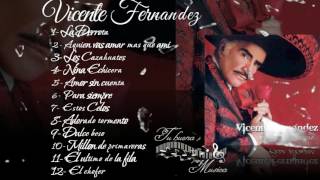 Vicente Fernandez Album para siempre [upl. by Yeliac]