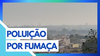 PREFEITURA DE SANTARÉM DECRETA CALAMIDADE DEVIDO À FUMAÇA INTENSA [upl. by Pilif]