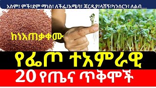 የፌጦ ተአምራዊ 20 የጤና ጥቅሞች ከነአጠቃቀሙ  Garden Cress health benefits [upl. by Jessamyn246]