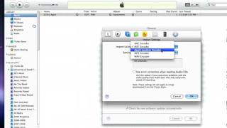 iTunes Audio Settings [upl. by Reerg906]