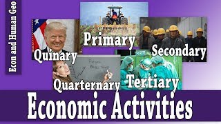 Economic Activities Primary Secondary Tertiary Quaternary Quinary AP Human Geography [upl. by Nesbitt]