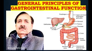 General Principles of Gastrointestinal Function  Lectures by Dr Alamzeb [upl. by Spieler]