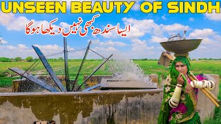 Unseen Beauty Of Sindh  Khoski Badin  Interior Sindh  Village Life Of Sindh [upl. by Aeneus]