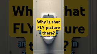 FUN FACTS Does a FLY in the Urinal Really Make Men Aim BETTER [upl. by Katrine60]