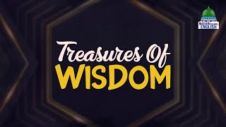 Treasures of Wisdom Ep102  Topic Love for Ahl e Bayt رَضِىَ اللّٰەُ عَنْهُم [upl. by Hairym838]