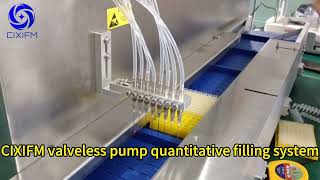 CIXIFM valveless plunger pump quantitative filling system plungerpump meteringpump pumpsolutions [upl. by Nilorac]