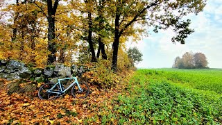 Autumn Gravel Ride  Specialized Diverge Carbon Expert 27102024 [upl. by Llechtim]